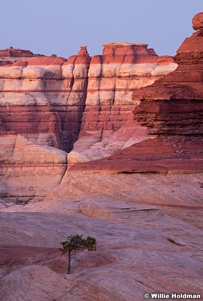 Lone Tree Canyonlands 103120 0020