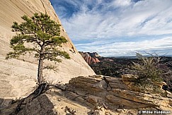 Lone Tree Slickrock 042617 9170