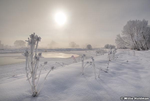 fogfrostsun 