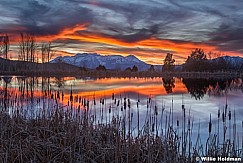 Red Reflection Timpanogos Pano 111421 5735