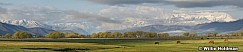 heberspringpasture050808