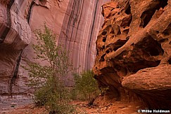 Escalante Side Canyon 060516 0873 2