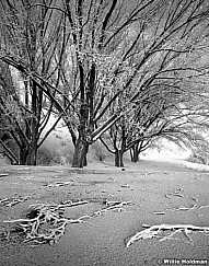 158020002102BW