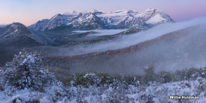 Timp Mist Autumn 092517