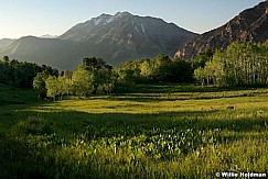 Cascademeadowtimspring061910