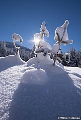 Powder Day Blue Bird 120418 9462 3