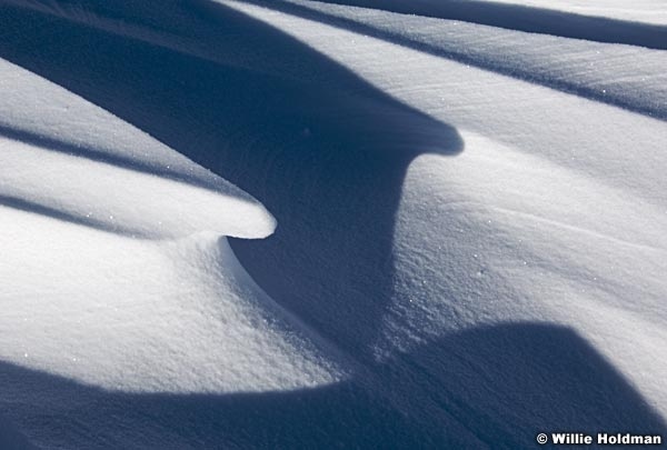 Snowabstract032709 551