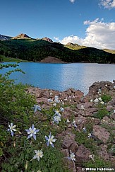 tusharbluelakecolumbine071410