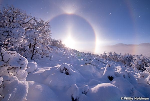 Park City Halo 011315 3