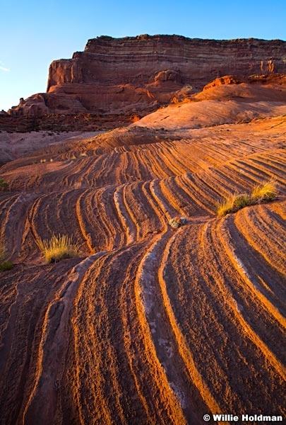 Powell Sandstone 081213 8059