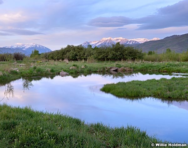 Timpanogos Pond Reflection 051215