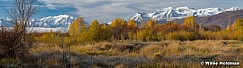 Snow Capped Timpanogos Autumn 102021 7665F