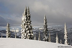 helifrost021407