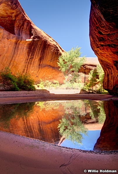 Glowingalcovevrt051610