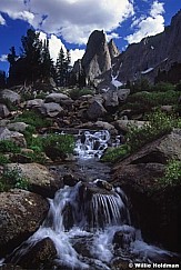 359020100109