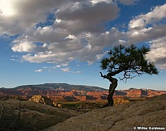 Lonetree101510 3477