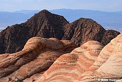Yant Flat Sandstone St George Utah 041026 2411 2