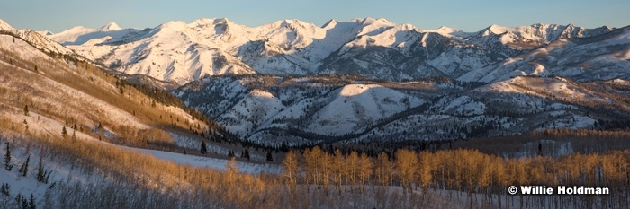 Wasatch Winter Timp 012116