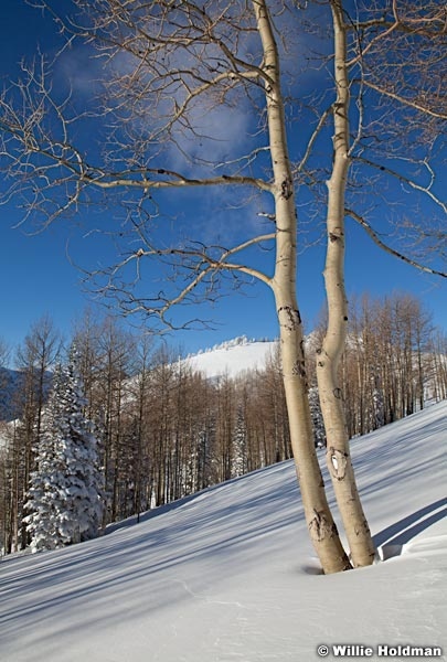 timpglowstitchpan15 63