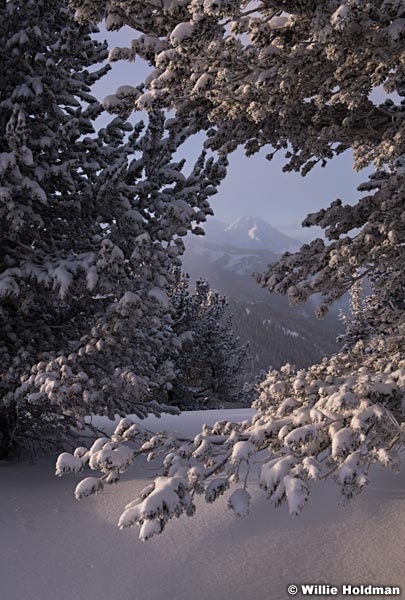 Wasatch Back Timp 122618 0962 2