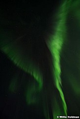 Northen Lights Wings 6684