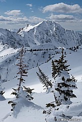 Pines Lone Peak Winter 040420 1333 2