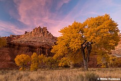 Capitol Reef Castle 111324 8716