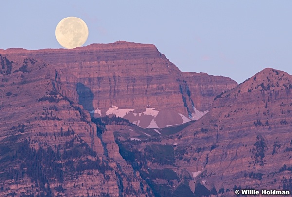 Full Moon Timp 081619 3 3