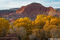 Torrey Knoll Autumn Colors 102624 4165
