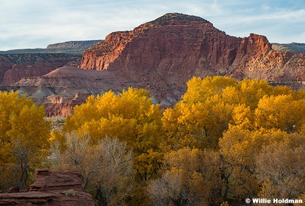 Torrey Knoll Autumn Colors 102624 4165