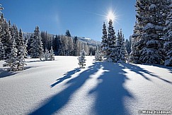 pinesunburst020711 216