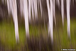 Aspen Abstract 051815 0845