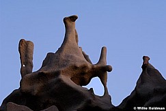 101306292