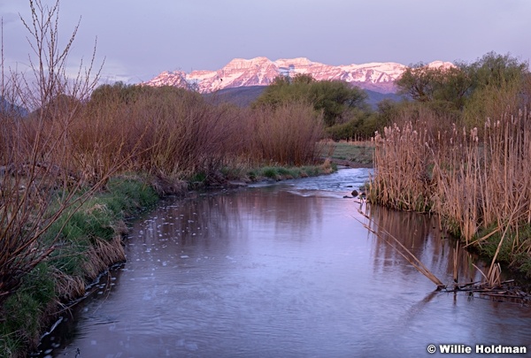Timpanogos Spring 043015 8261
