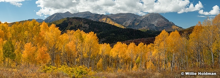 Translucent Aspens Timpanogos 092925 9184