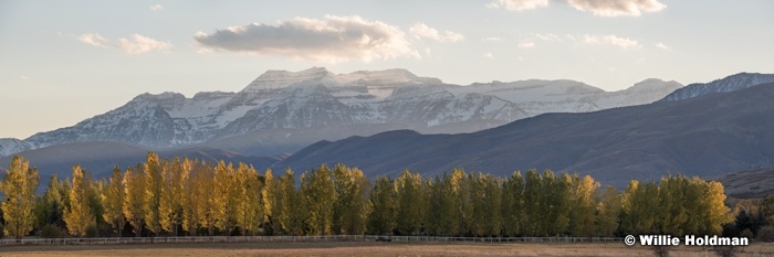 Timp cottonwood Pano 101318