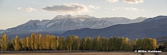 Timp cottonwood Pano 101318