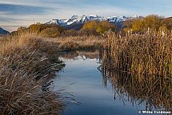 Timpanogos Cottonwoods Stream 103021 1167 2