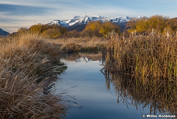 Timpanogos Cottonwoods Stream 103021 1167 2