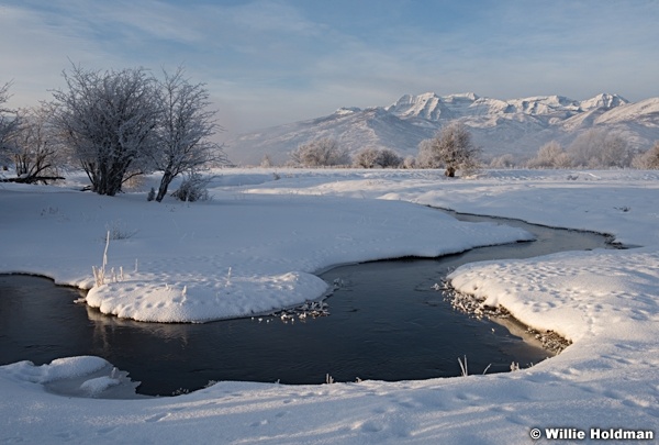 Timpanogos winter stream 012316 0724