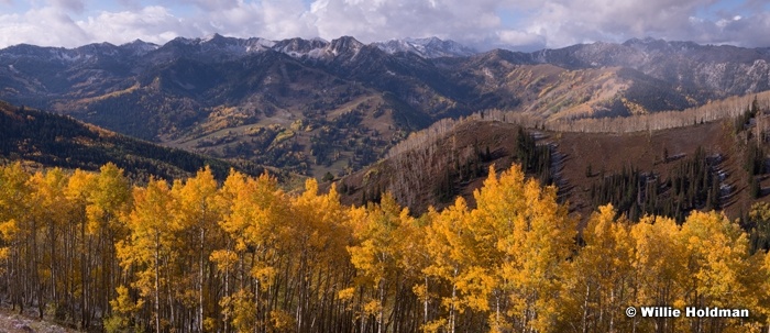 Big Cottonwood Autumn 092814