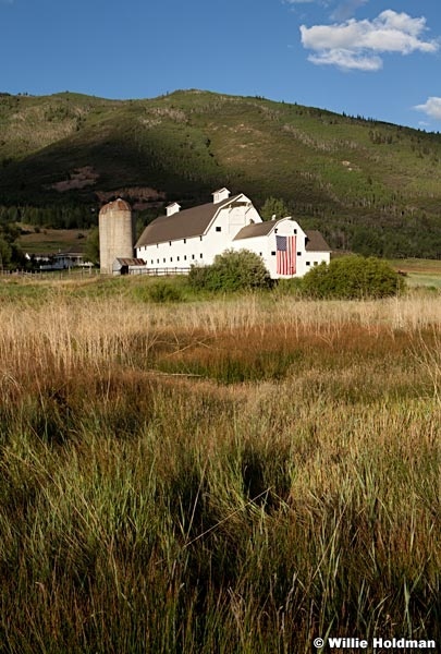 McPolin Barn Spring 0701612 854