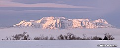 Timpanogos Breaking Clouds Pan 24x60 012420 2780 1