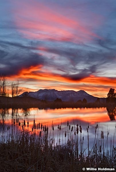 Red Sky ReflectionF 111421 5771 2