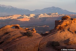 Capitol Reef Henrys 030918 4670