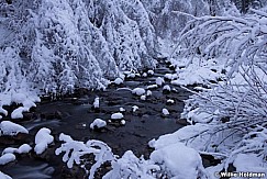 North Fork Creek 011215 3927