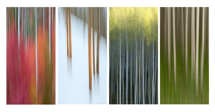 Skinny Aspens Abstract TSeries