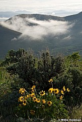 midwayclouds052509 24696