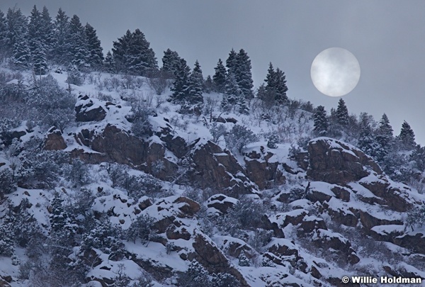 Sun pines 021113 234