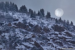 Sun pines 021113 234